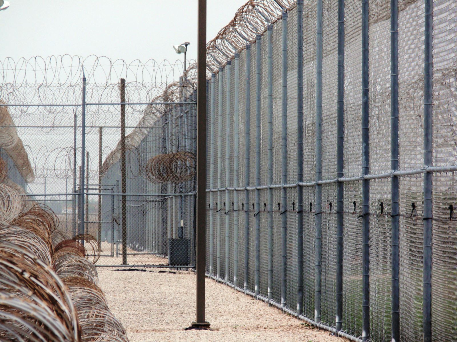 SL-3 Fence Sensor - Image 5